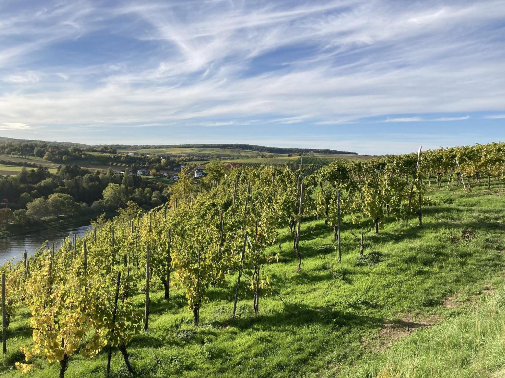 Comfortable Apartment In Ediger Eller Eifel Sankt Aldegund Kültér fotó
